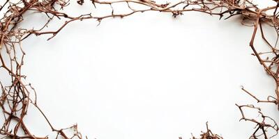 Dry twisted vines form a natural frame on a plain white background, perfect for artistic displays or invitations photo