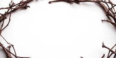 Decorative arrangement of grapevine branches on a neutral background for artistic projects photo