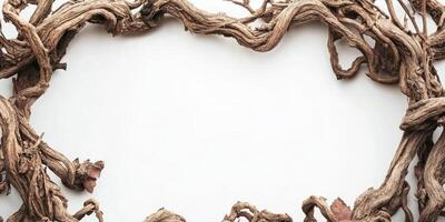 Natural twisted branches create an elegant frame on a solid white background perfect for creative displays or artwork photo