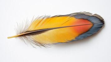 Vibrant and detailed feather in shades of yellow, blue, and orange against a white background photo