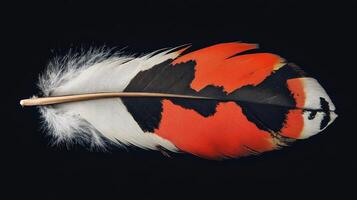 Vibrant feather showcasing striking red, black, and white patterns resting against a solid background photo