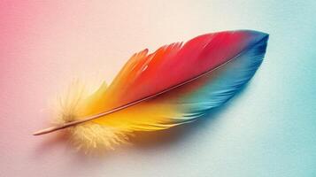 Brightly colored feather rests on a pastel background showcasing vibrant hues and delicate details photo