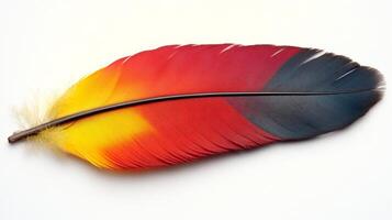 Colorful feather resting on a white surface showcasing vibrant hues of yellow, red, and blue in natural light photo