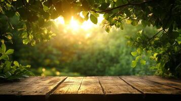 Sunlight filters through foliage, illuminating a wooden surface in a tranquil forest setting at dusk photo
