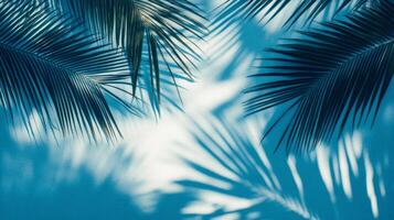 Shadows of palm leaves dance across a tranquil blue background under a sunny sky in a tropical paradise photo