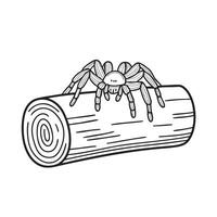 A tarantula hiding in hollow log near camp vector