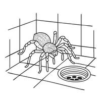 A tarantula crawling across a tiled floor near a drain vector
