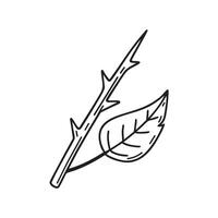 A thorn sticking from a stem beside a fallen leaf vector