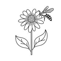 A tickseed planted near a bee resting on petals vector