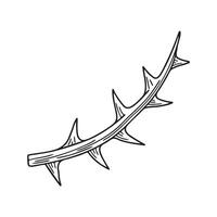 A thorn attached to a vine crawling up a wall vector
