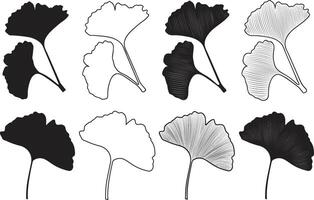 Ginkgo Leaf Silhouettes and Line Art Botanical Set with Transparent Background vector