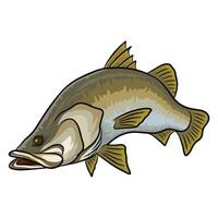 Illustration of a barramundi fish shown at a three-quarter view with its mouth wide open. The drawing provides a detailed look at the fish's head and body structure vector
