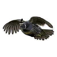 Illustration of a quail in flight, angled upwards with one wing raised higher than the other, suggesting a quick ascent vector