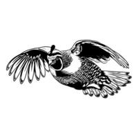 Illustration of a quail in flight, angled upwards with one wing raised higher than the other, suggesting a quick ascent in black and white vector