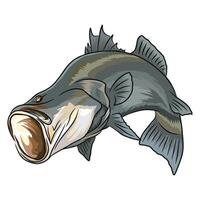 barramundi fish with its mouth wide open The artwork provides a unique perspective of the fish and the inside of its mouth vector
