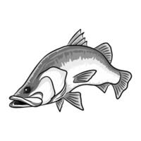 Illustration of a barramundi fish shown at a three-quarter view with its mouth wide open. The drawing provides a detailed look at the fish's head and body structure in black and white vector