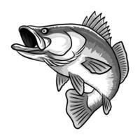 Illustration of a barramundi fish in a horizontal pose with its mouth slightly open. The artwork showcases the fish's streamlined body and fin details in black and white vector