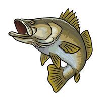 Illustration of a barramundi fish in a horizontal pose with its mouth slightly open. The artwork showcases the fish's streamlined body and fin details. vector