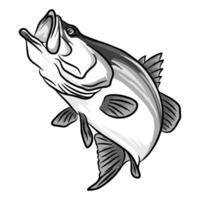 Upward-facing illustration of a barramundi fish with its mouth open. The drawing highlights the fish's underside and fins as it appears to be moving upwards in black and white vector