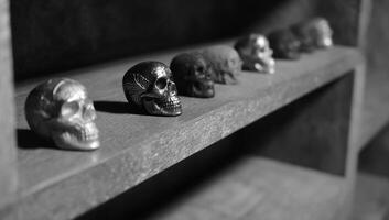 A row of skulls on a shelf photo