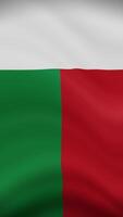 Madagascar Waving Flag in Vertical Orientation. Realistic Flag Animation. Seamless Loop Background. video