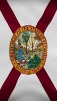 Florida State Waving Flag in Vertical Orientation. Realistic Flag Animation. Seamless Loop Background. video