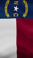 North Carolina State Waving Flag in Vertical Orientation. Realistic Flag Animation. Seamless Loop Background. video