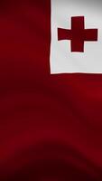 Tonga Waving Flag in Vertical Orientation. Realistic Flag Animation. Seamless Loop Background. video