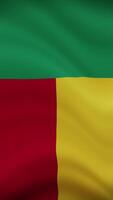 Benin Waving Flag in Vertical Orientation. Realistic Flag Animation. Seamless Loop Background. video