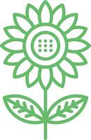 Sunflower Line Icon vector