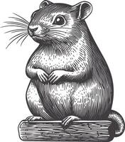 Detailed Hand-drawn Illustration of a Cute Rodent Character vector