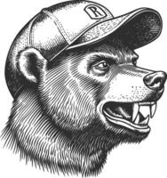 Detailed Illustration of a Bear Wearing a Cap and Snarling Expression vector