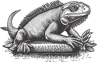 Detailed Illustration of a Stylized Iguana with Intricate Patterns vector