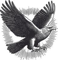 Intricate Black and White Illustration of an Eagle in Flight with Wings Spread vector