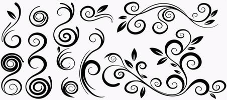 Floral Swirls and Vines Black and White Design Elements vector