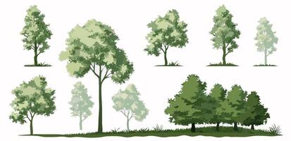 Collection of Green Trees, Various Sizes and Styles, Landscape Design Elements vector