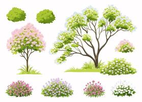Spring Landscape Design Elements Trees, Shrubs, Flowers vector