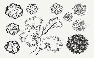 Top View Tree and Shrub Illustrations Landscape Design Elements vector