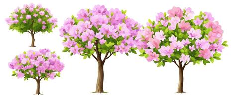 Pink Azalea Trees Spring Blossom Tree Illustrations vector