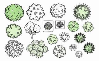 Top View Collection of Trees, Shrubs and Plants for Landscape Design vector
