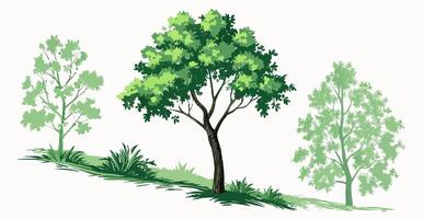 Three Green Trees on a Hillside Illustration vector