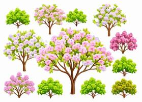Collection of Spring Flowering Trees and Shrubs vector