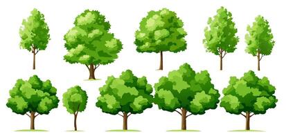 Collection of Green Trees Various Shapes and Sizes vector