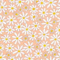 Peach Background with White Daisy Flower Pattern vector