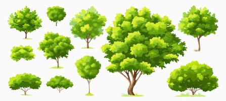 Collection of Green Trees, Various Sizes and Shapes, Illustration vector