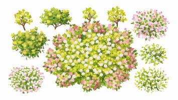 Top View Collection of Blooming Shrubs and Trees vector