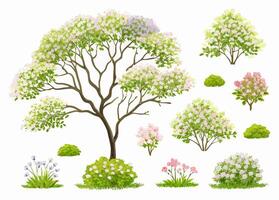 Spring Blooming Trees and Shrubs Collection Landscape Design Elements vector
