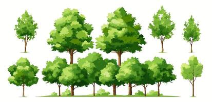 Collection of Green Trees Various Sizes and Styles for Landscape Design vector