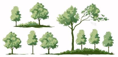 Collection of Green Trees, Various Sizes and Styles, Isolated on White Background vector