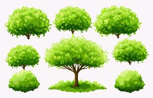 Collection of Lush Green Trees and Bushes Spring Foliage Illustrations vector
